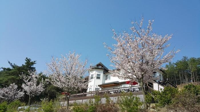 Another World Pension Gyeongju Zewnętrze zdjęcie